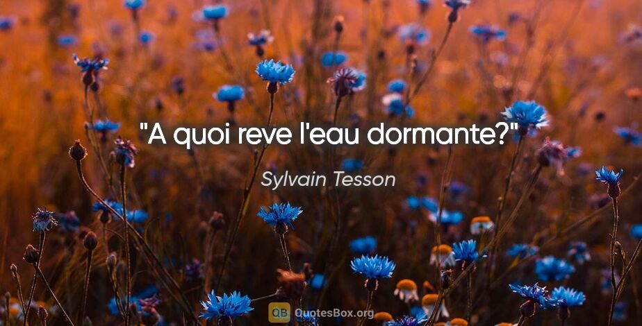 Sylvain Tesson citation: "A quoi reve l'eau dormante?"