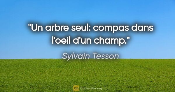 Sylvain Tesson citation: "Un arbre seul: compas dans l'oeil d'un champ."