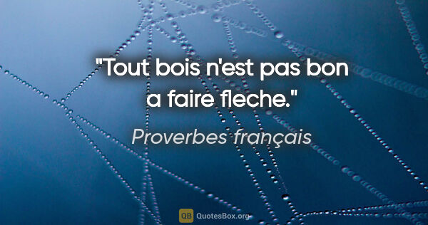 Proverbes français citation: "Tout bois n'est pas bon a faire fleche."