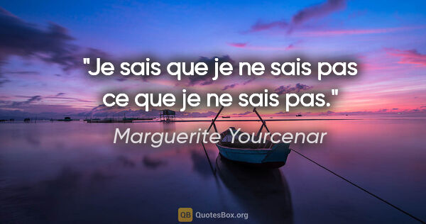 Marguerite Yourcenar citation: "Je sais que je ne sais pas ce que je ne sais pas."