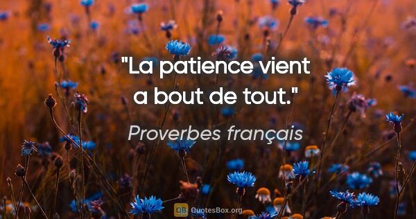 Proverbes français citation: "La patience vient a bout de tout."