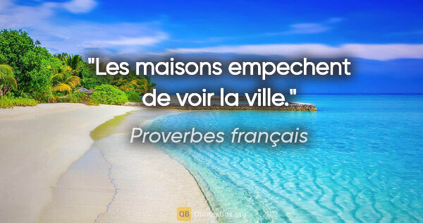 Proverbes français citation: "Les maisons empechent de voir la ville."