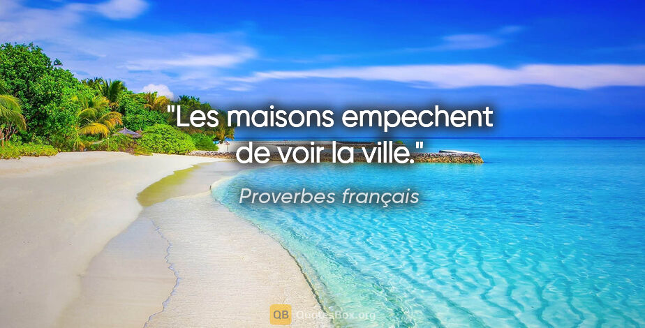 Proverbes français citation: "Les maisons empechent de voir la ville."