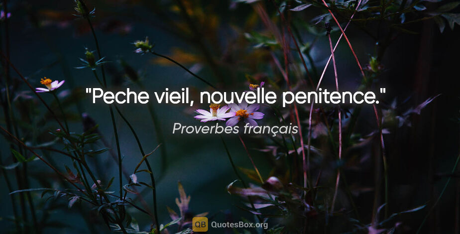 Proverbes français citation: "Peche vieil, nouvelle penitence."
