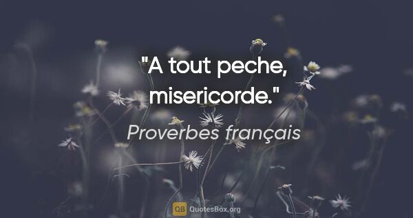 Proverbes français citation: "A tout peche, misericorde."