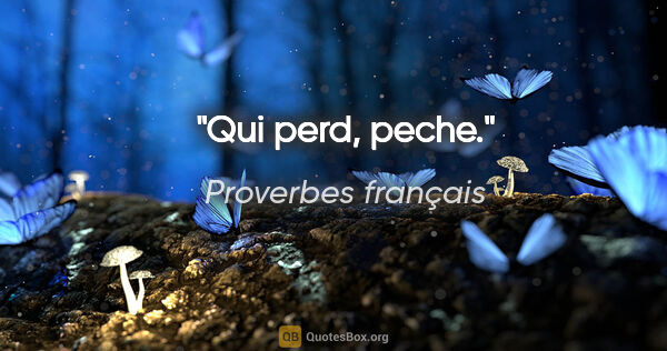 Proverbes français citation: "Qui perd, peche."