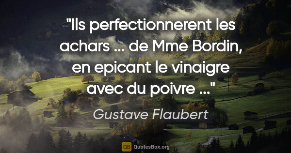 Gustave Flaubert citation: "Ils perfectionnerent les achars ... de Mme Bordin, en epicant..."