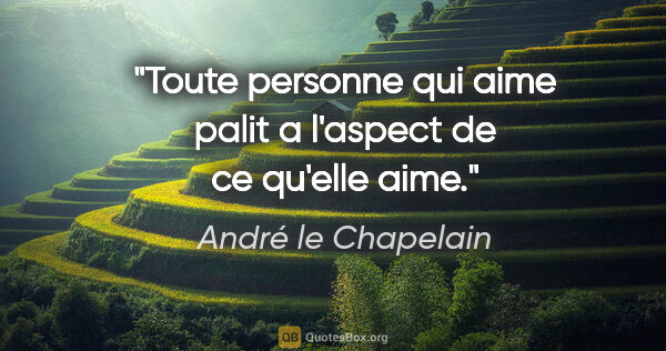 André le Chapelain citation: "Toute personne qui aime palit a l'aspect de ce qu'elle aime."