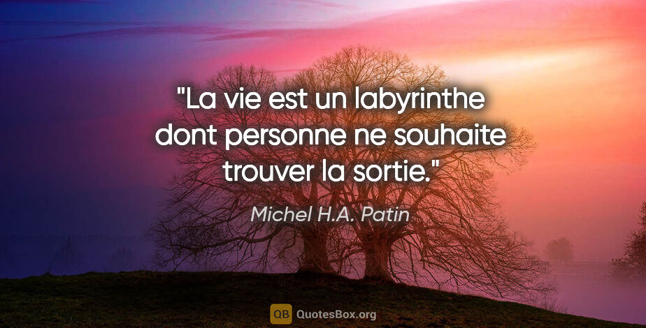 Michel H.A. Patin citation: "La vie est un labyrinthe dont personne ne souhaite trouver la..."