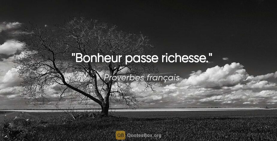 Proverbes français citation: "Bonheur passe richesse."