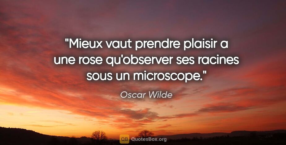 Oscar Wilde citation: "Mieux vaut prendre plaisir a une rose qu'observer ses racines..."