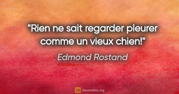 Edmond Rostand citation: "Rien ne sait regarder pleurer comme un vieux chien!"