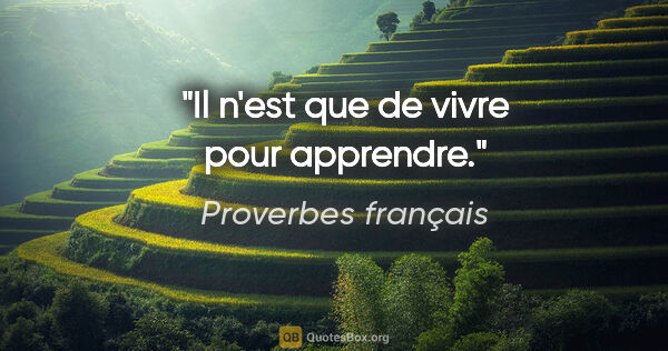 Proverbes français citation: "Il n'est que de vivre pour apprendre."