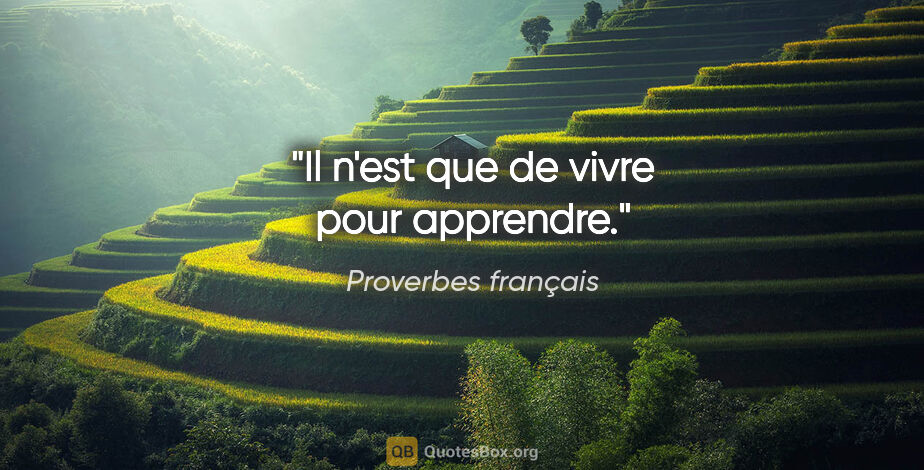 Proverbes français citation: "Il n'est que de vivre pour apprendre."