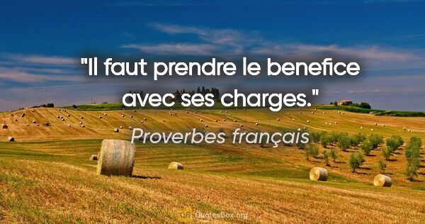 Proverbes français citation: "Il faut prendre le benefice avec ses charges."