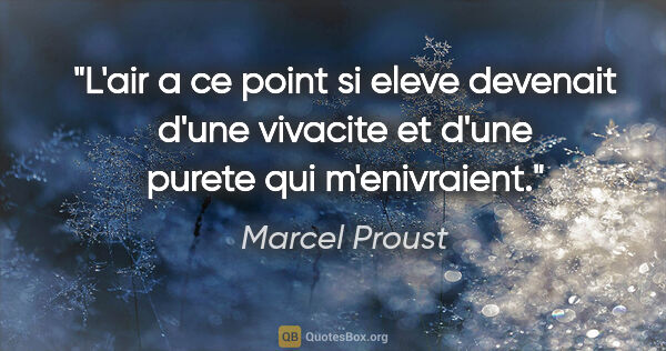 Marcel Proust citation: "L'air a ce point si eleve devenait d'une vivacite et d'une..."