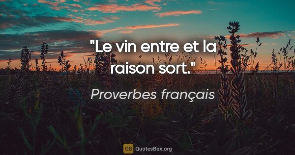 Proverbes français citation: "Le vin entre et la raison sort."