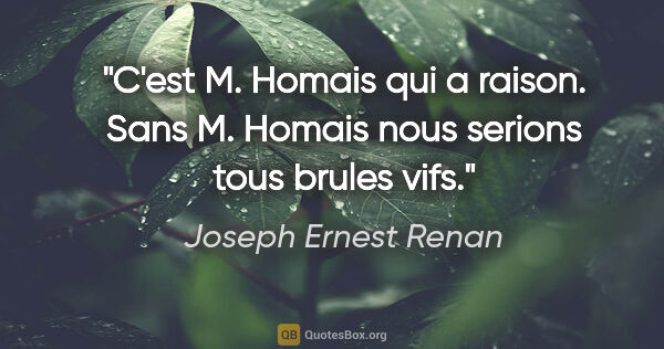 Joseph Ernest Renan citation: "C'est M. Homais qui a raison. Sans M. Homais nous serions tous..."
