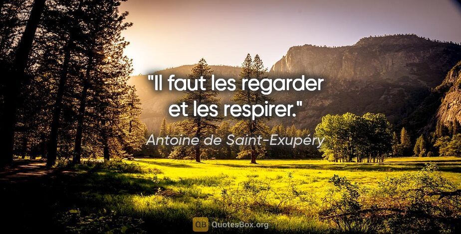 Antoine de Saint-Exupéry citation: "Il faut les regarder et les respirer."