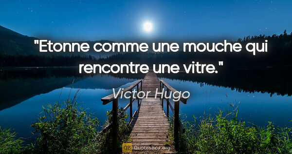 Victor Hugo citation: "Etonne comme une mouche qui rencontre une vitre."
