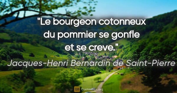 Jacques-Henri Bernardin de Saint-Pierre citation: "Le bourgeon cotonneux du pommier se gonfle et se creve."