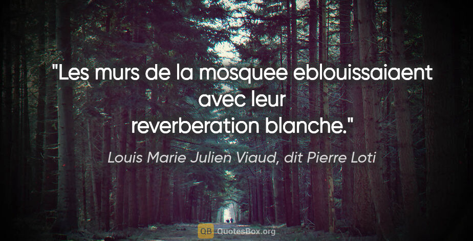 Louis Marie Julien Viaud, dit Pierre Loti citation: "Les murs de la mosquee eblouissaiaent avec leur reverberation..."