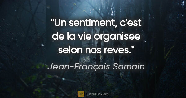 Jean-François Somain citation: "Un sentiment, c'est de la vie organisee selon nos reves."