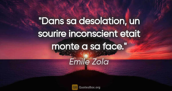 Emile Zola citation: "Dans sa desolation, un sourire inconscient etait monte a sa face."