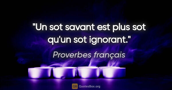 Proverbes français citation: "Un sot savant est plus sot qu'un sot ignorant."