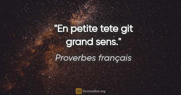 Proverbes français citation: "En petite tete git grand sens."