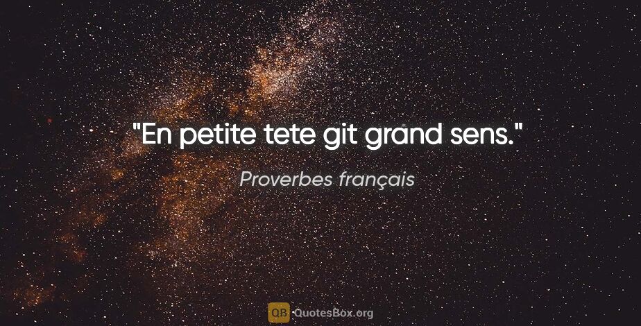 Proverbes français citation: "En petite tete git grand sens."