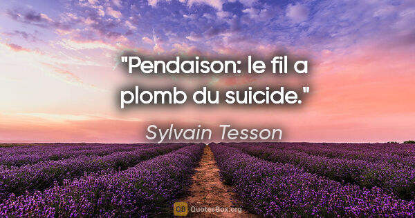Sylvain Tesson citation: "Pendaison: le fil a plomb du suicide."