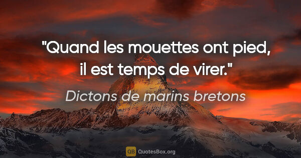 Dictons de marins bretons citation: "Quand les mouettes ont pied, il est temps de virer."