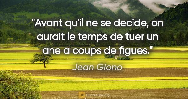 Jean Giono citation: "Avant qu'il ne se decide, on aurait le temps de tuer un ane a..."