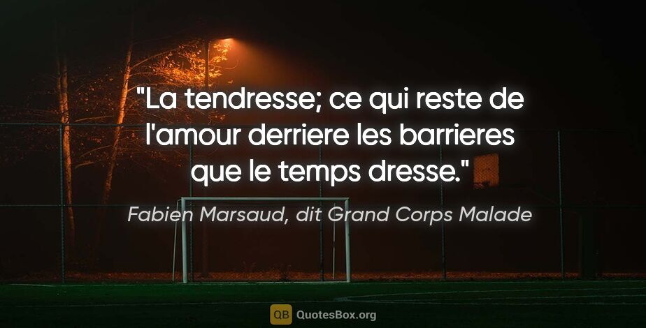Fabien Marsaud, dit Grand Corps Malade citation: "La tendresse; ce qui reste de l'amour derriere les barrieres..."