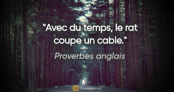 Proverbes anglais citation: "Avec du temps, le rat coupe un cable."