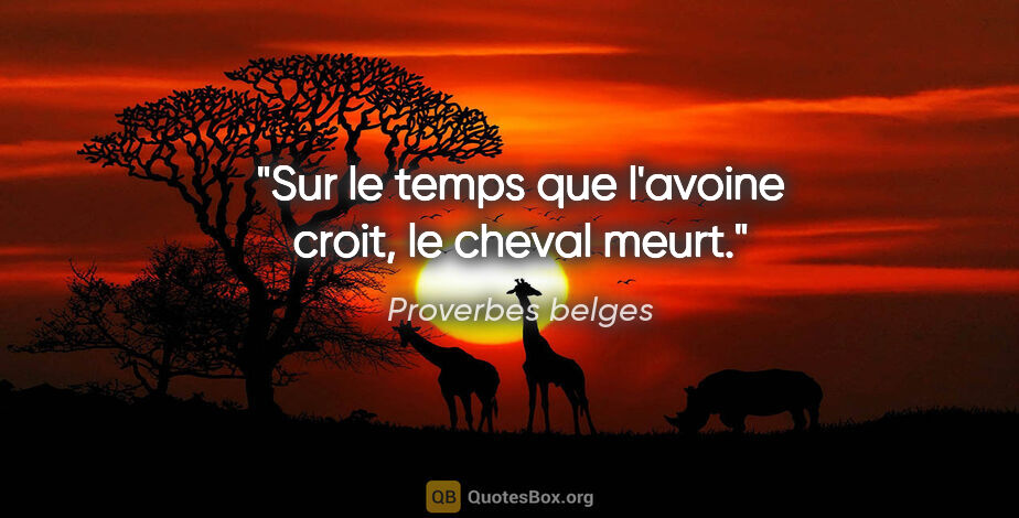 Proverbes belges citation: "Sur le temps que l'avoine croit, le cheval meurt."