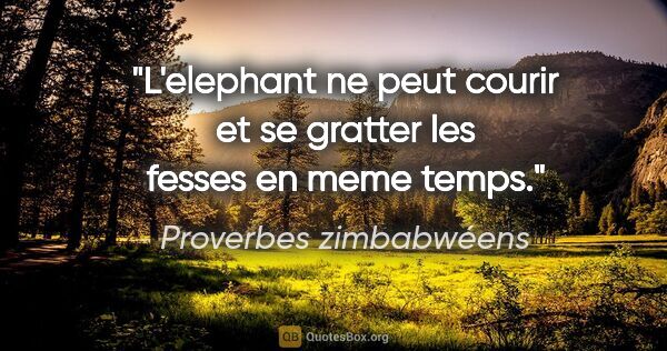 Proverbes zimbabwéens citation: "L'elephant ne peut courir et se gratter les fesses en meme temps."