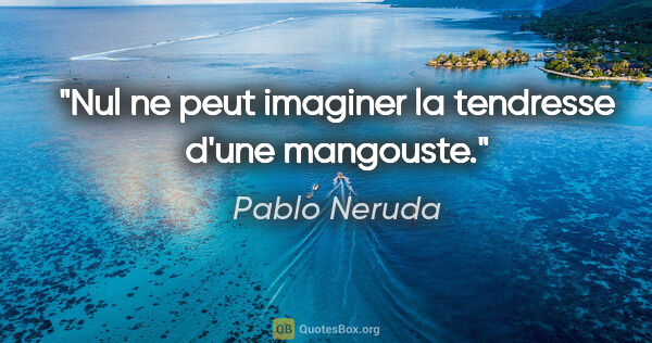 Pablo Neruda citation: "Nul ne peut imaginer la tendresse d'une mangouste."