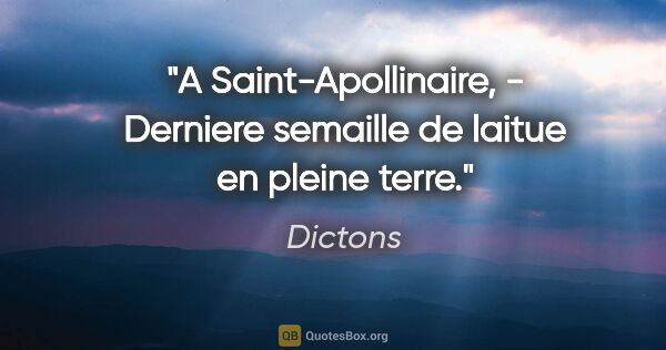 Dictons citation: "A Saint-Apollinaire, - Derniere semaille de laitue en pleine..."