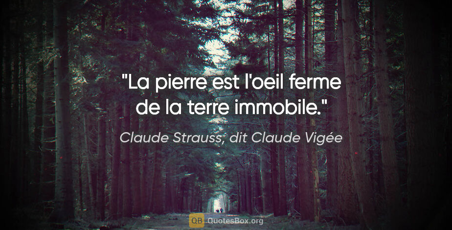 Claude Strauss, dit Claude Vigée citation: "La pierre est l'oeil ferme de la terre immobile."