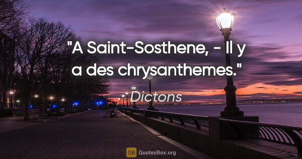 Dictons citation: "A Saint-Sosthene, - Il y a des chrysanthemes."