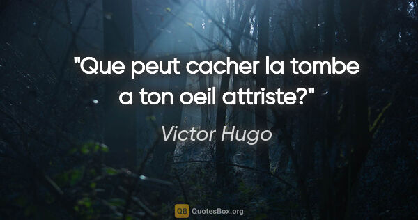 Victor Hugo citation: "Que peut cacher la tombe a ton oeil attriste?"