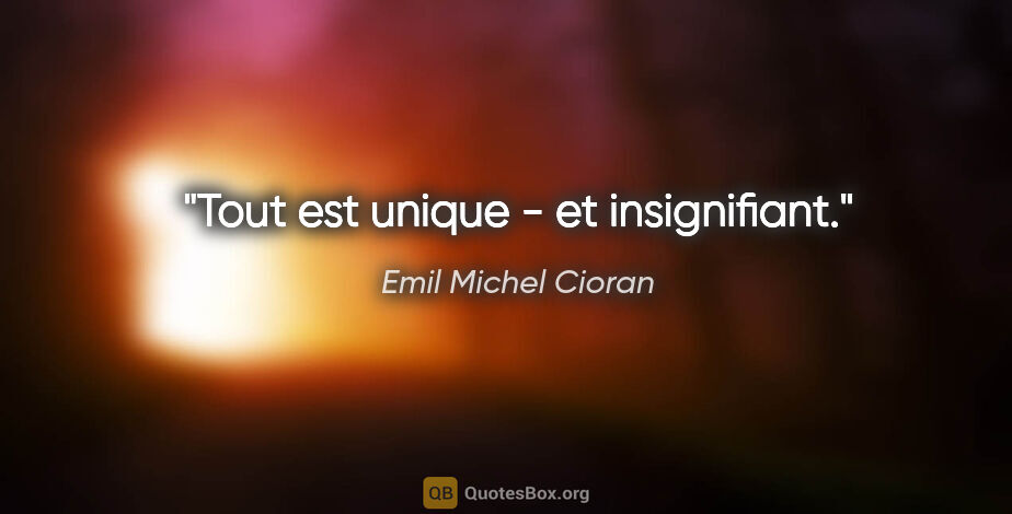 Emil Michel Cioran citation: "Tout est unique - et insignifiant."