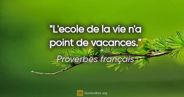 Proverbes français citation: "L'ecole de la vie n'a point de vacances."