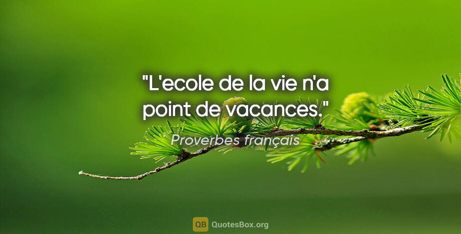 Proverbes français citation: "L'ecole de la vie n'a point de vacances."