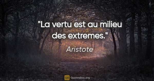 Aristote citation: "La vertu est au milieu des extremes."