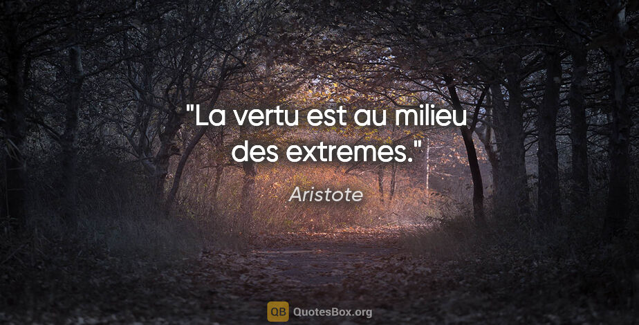 Aristote citation: "La vertu est au milieu des extremes."