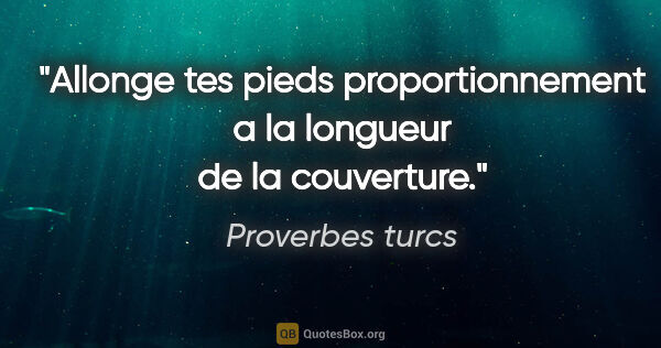 Proverbes turcs citation: "Allonge tes pieds proportionnement a la longueur de la..."