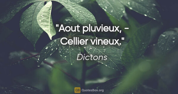 Dictons citation: "Aout pluvieux, - Cellier vineux."